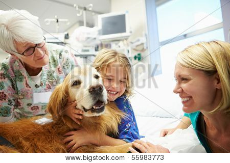 Young Girl Being Visited In Hospital By Therapy Dog