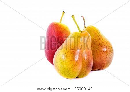 Corella Pear