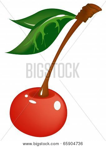 Cherry