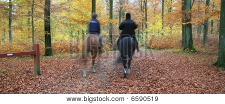 Ride