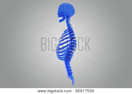 Skull with ribs