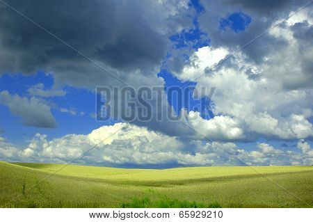 Landscape