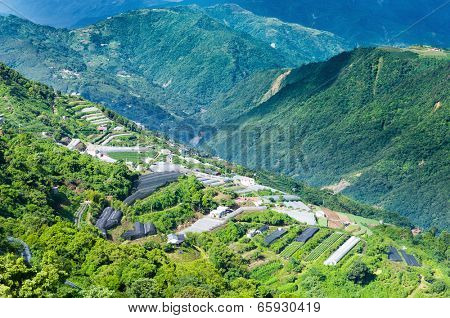 Farm in Taiwan