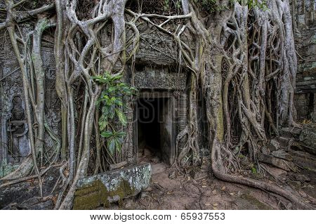Sunrise over Ta Phrom