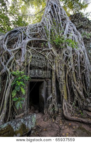 Sunrise over Ta Phrom