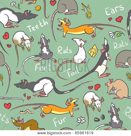 Background With Rats