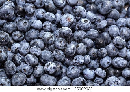 blueberry background