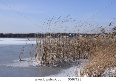 Paisagem de Inverno