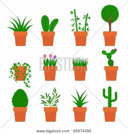 vector set of plants in pots