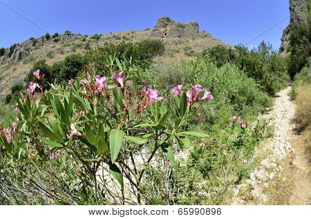 Wadi Amud In Galilee, Israel
