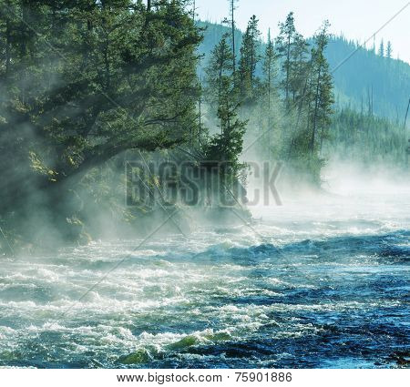 Fog on Yellowstone river