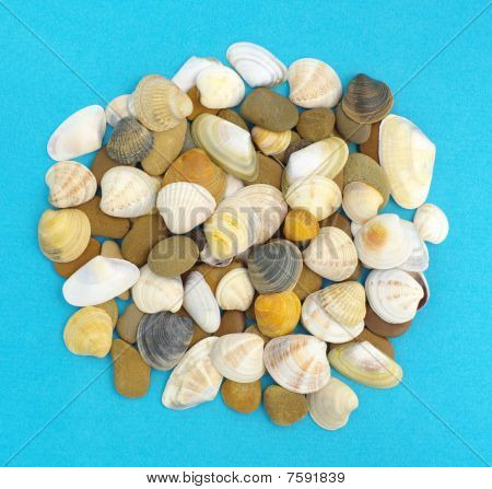Sea shells And Stones
