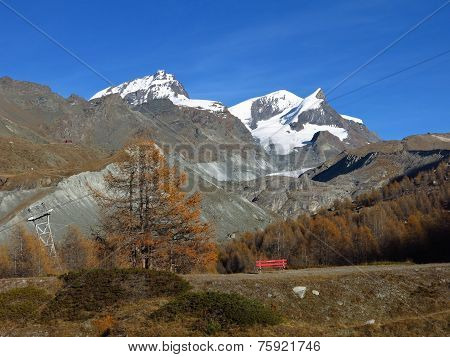 Colorful Larch Forest And Snow Capped Allalinhorn