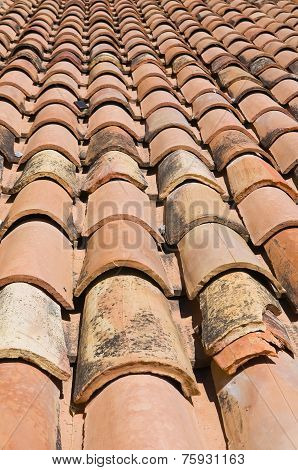 Tile roof.