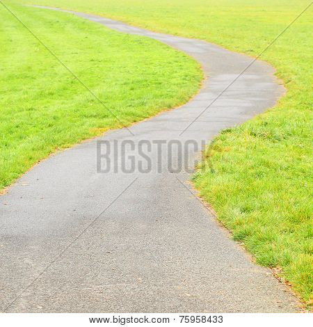 Bicycle lane in meadows.