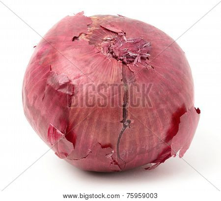 Red Onion