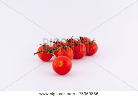 Tomatoes