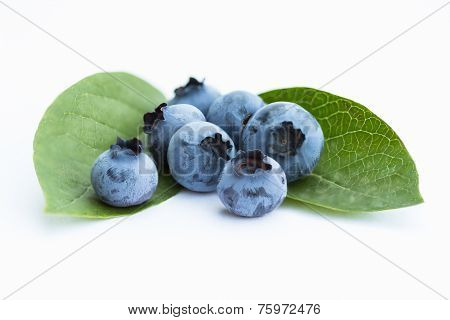 Blueberries isolated