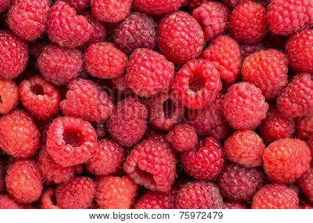 Raspberries background