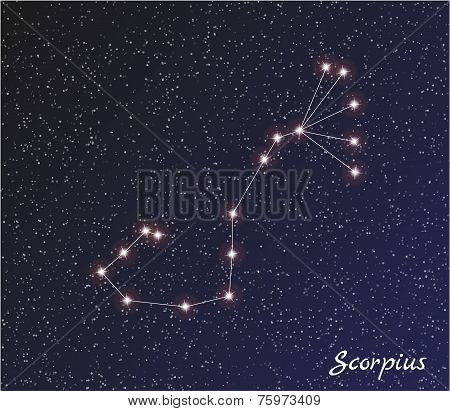 Constellation Scorpius
