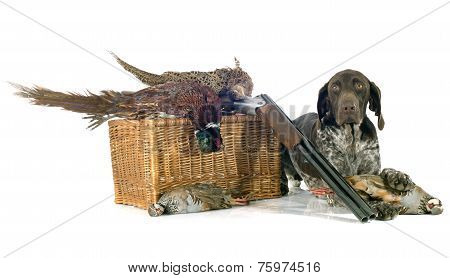 Hunting Games And Dog