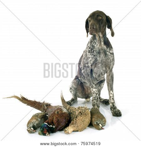 Hunting Games And Dog