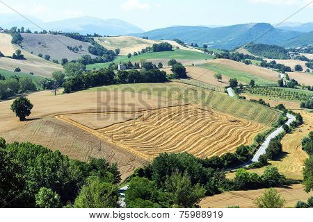 Summer Landscape In Marches (italy)