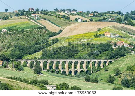 Summer Landscape In Marches (italy)