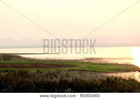 River Landscape