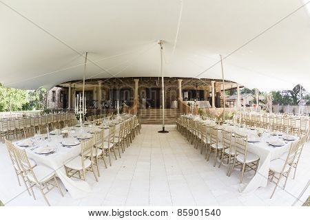 Party Dining Decor Home