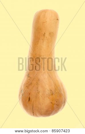 Food Silhouette Of Pumpkin On Isolated Orange Background