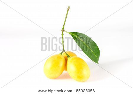 Bouea macrophylla fruits