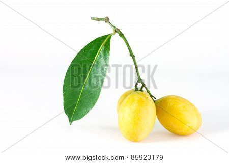Bouea macrophylla fruits