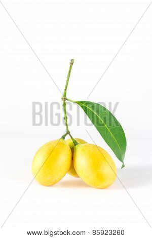 Bouea macrophylla fruits
