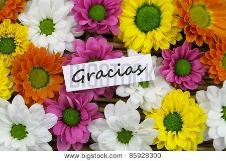 Gracias (which means thank you in Spanish) card with colorful Santini flowers
