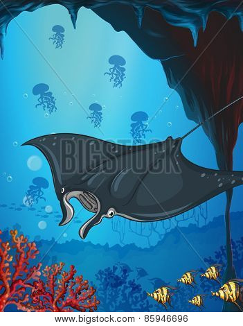 Close up stringray swimming under the ocean