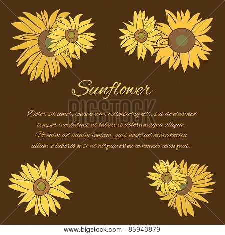 Sunflower vector greeting card on the dark background
