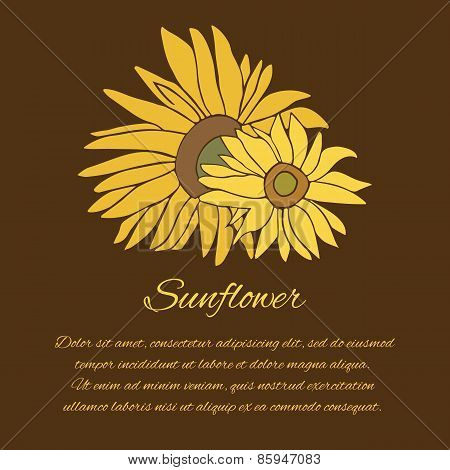 Sunflower vector greeting card on the dark background