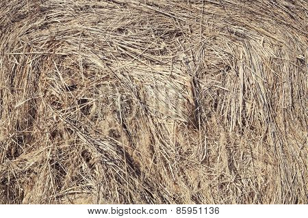 Hay textured background