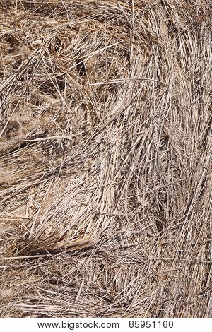 Hay textured background