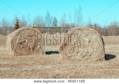 Hay stacks in farmland