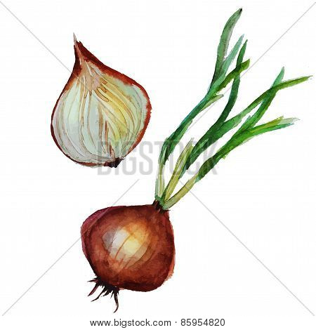 Onion