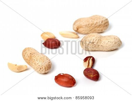 Peanuts On White Background