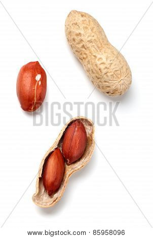 Peanuts On White Background