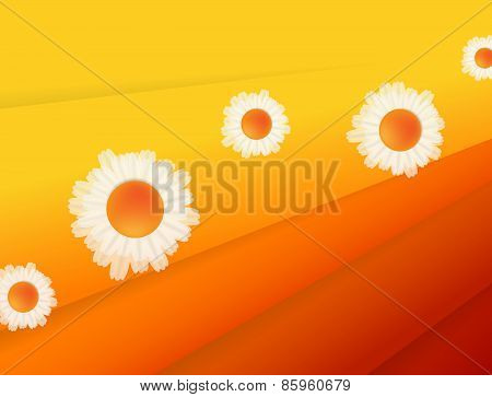 vector background