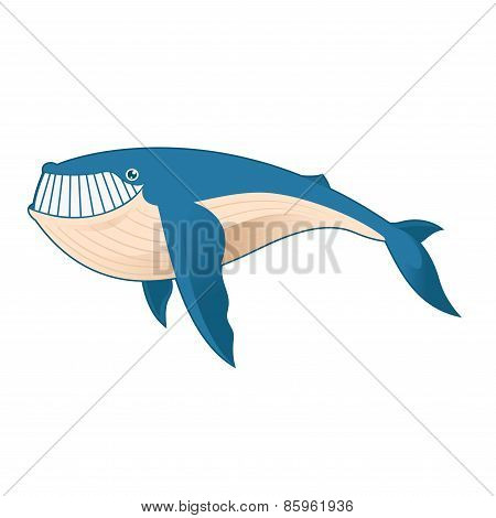 Cartoon Whale