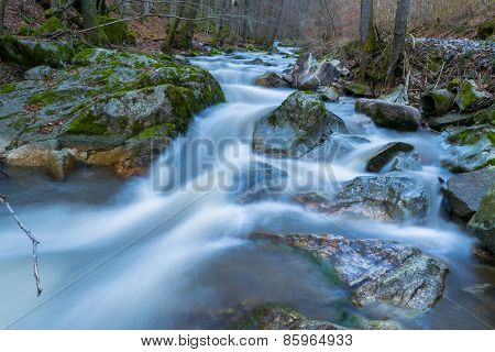 Cold river Toplica