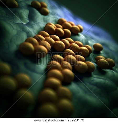 medical bacteria illustration of the mrsa
