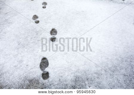 Footprints in snow