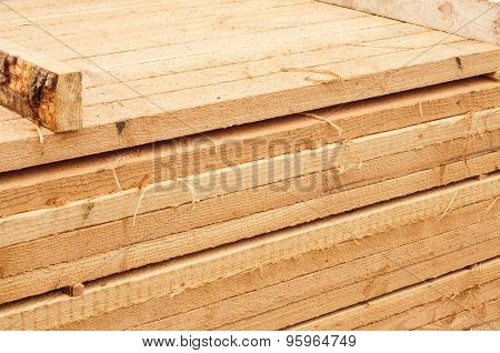 Pine limber limber